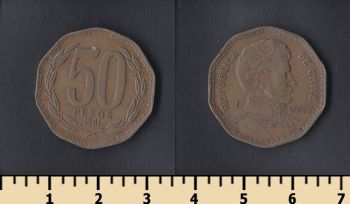  50  1981