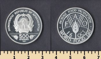  500  1981