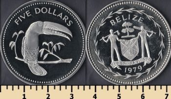  5  1979
