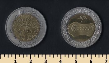  5  2004
