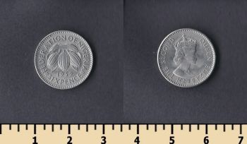  6  1959