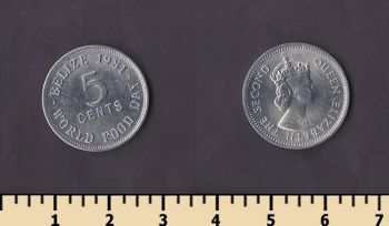 ����� 5 ������ 1981