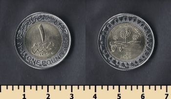  1  2019
