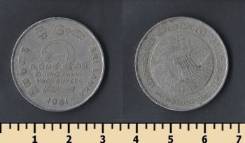   2  1981