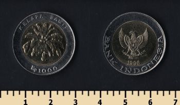  1000  1996