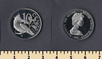   10  1981