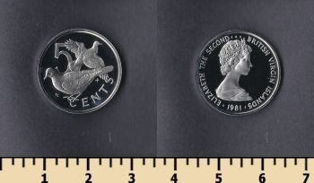    5  1981