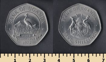  5  1972