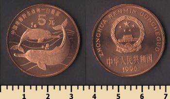 ����� 5 ����� 1996