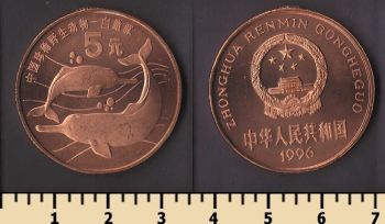 ����� 5 ����� 1996