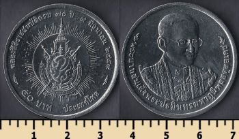  50  2016