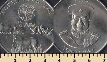  2  1981