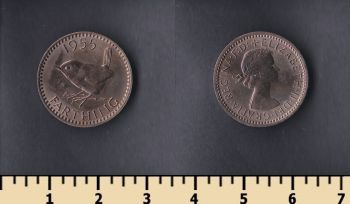  1  1955