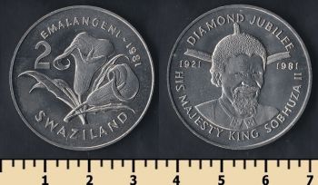  2  1981