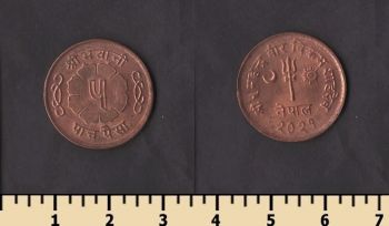 ����� 5 ����� 1964