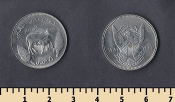  5  1981