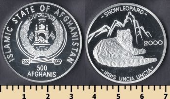  500  2000