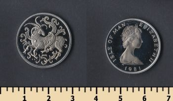   5  1981