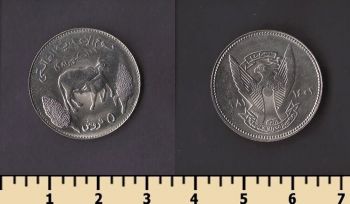 ����� 5 ���� 1981