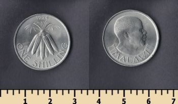  1  1964