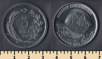  5  1980