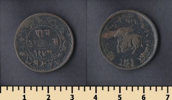   1/4 