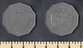   5  1981