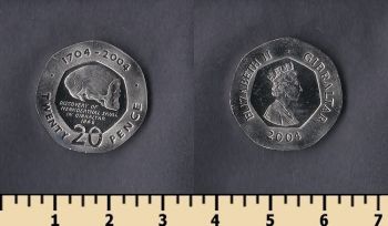  20  2004
