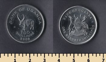  100  2008