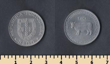  5  1983