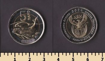 ��� 5 ������ 2024