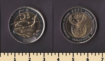 ��� 5 ������ 2024