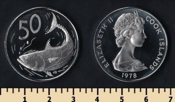   50  1978