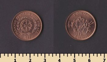 ����� 2 ������ 1981