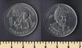  1  1981