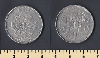  5  1981