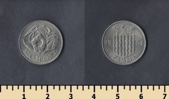  6  1964