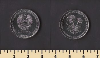 ������������� 1 ����� 2025