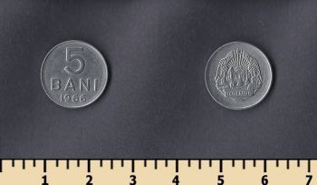  5  1966