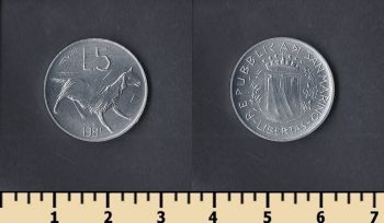 - 5  1981