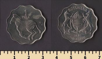 �������� 1 ���� 1981