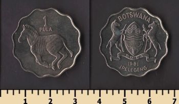 �������� 1 ���� 1981