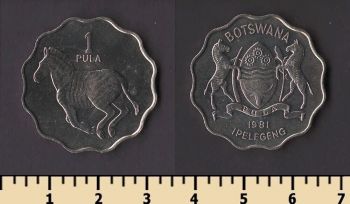 �������� 1 ���� 1981