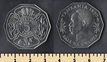  5  1980