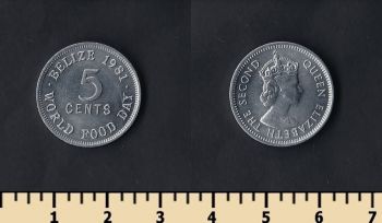 5  1981