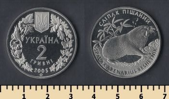  2  2005