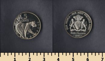  5  1980