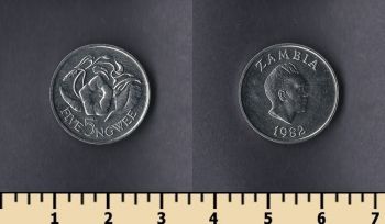  5  1982