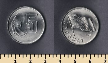 5  1981