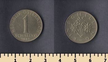 1  1981